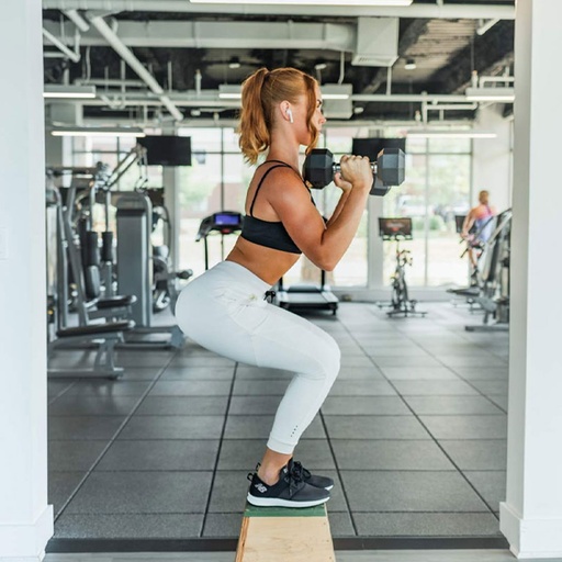 Professional Practice for Personal Trainers