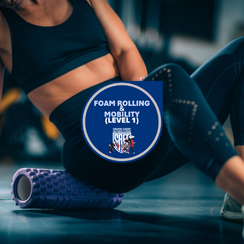 Foam Rolling & Mobility